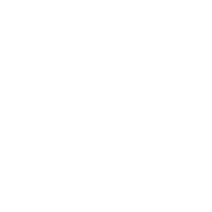 Jack Daniels - Tennessee Fire