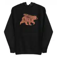 unisex-premium-pullover-hoodie-black-front-6a198903445b3-2.jpg